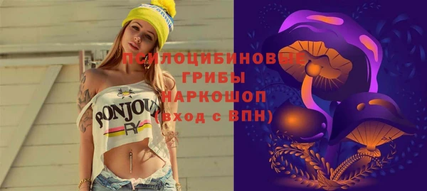дживик Армянск