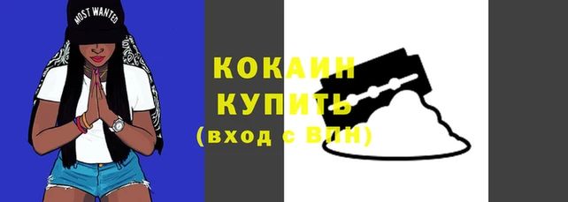 дживик Арсеньев