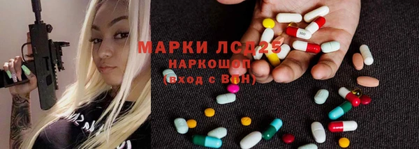 крисы Аркадак