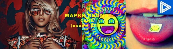 крисы Аркадак