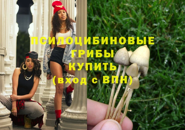 дживик Армянск
