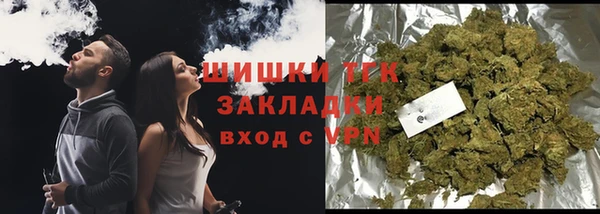 крисы Аркадак